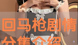 回马枪电视剧剧情介绍,揭秘抗战英雄的生死抉择与家国情怀