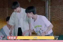 时代少年团自己吃瓜爆料,揭秘团内那些鲜为人知的“瓜”与“料”
