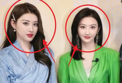 明星与网红的区别,揭秘两者间的差异与魅力