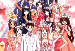 真后宫动漫,浪漫邂逅与权力角逐的奇幻世界