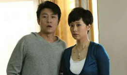 媳妇的美好时代 电视剧,现代都市女性的情感与成长之旅