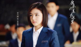 好看的校园电视剧,那些年我们一起追过的电视剧