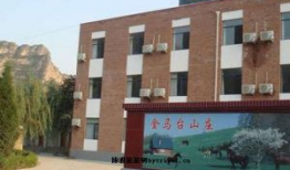 金马山庄是什么电视剧,揭秘神秘古堡里的爱恨情仇