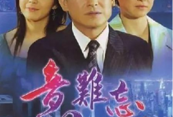 电视剧意难忘第二部,爱恨交织，命运轮回