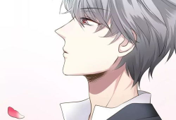 动漫男同,动漫男同的浪漫篇章