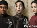 白鹿原电视剧全集在线观看,穿越历史的长河，探寻家族兴衰之谜