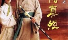 电视剧十大排行榜,盘点年度热门剧集，揭秘观众心选佳作