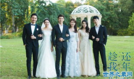 电视剧十大排行榜,盘点年度热门剧集，揭秘观众心选佳作