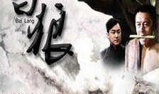 白狼电视剧,揭秘草原英雄的传奇人生