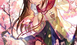 美图 动漫,梦幻视觉盛宴，带你领略二次元魅力