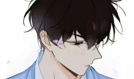 动漫男同,动漫男同的浪漫篇章