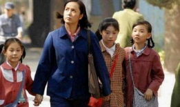 电视剧家庭,温情岁月里的爱与成长