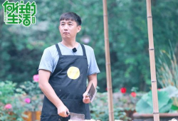 吃瓜爆料刘宪华何炅,娱乐圈幕后故事大揭秘