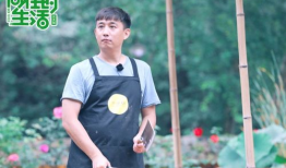 吃瓜爆料刘宪华何炅,娱乐圈幕后故事大揭秘